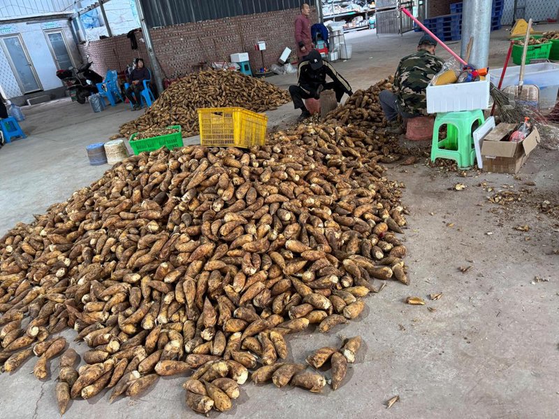 赤水食品加工：传统与创新的交融